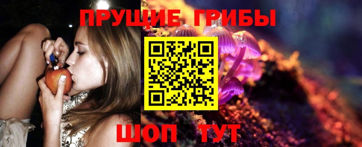Наро-Фоминск  Псилоцибиновые грибы Cubensis  Вход с VPN  Галлюциногенные грибы ЛСД 